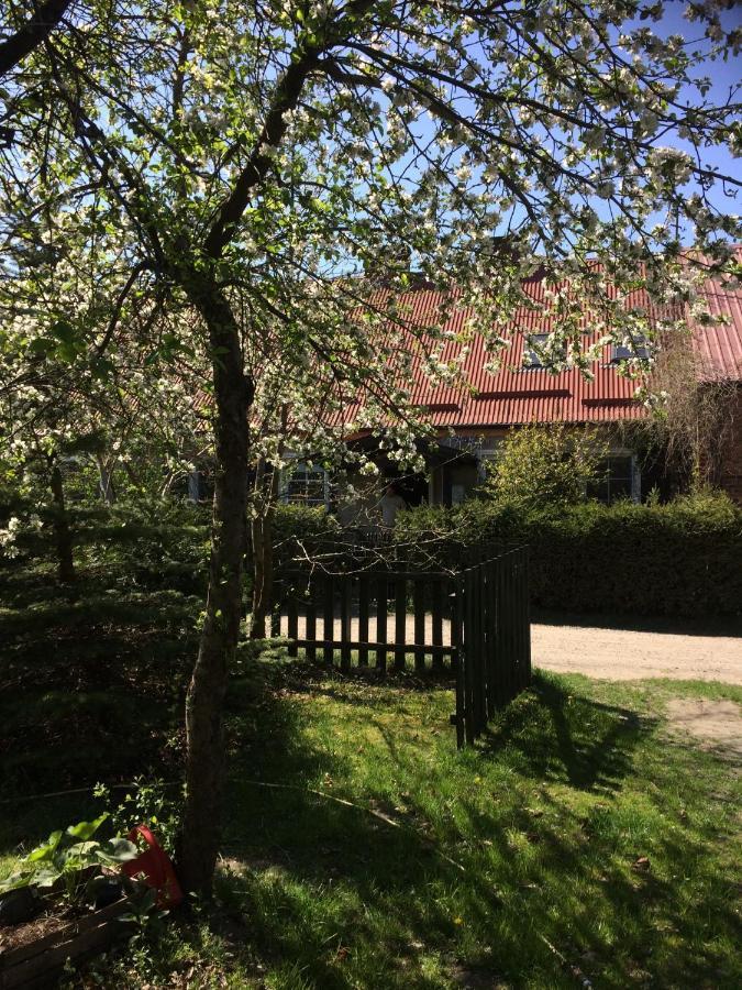 Satnatorium Bed & Breakfast Tuczno Exterior photo